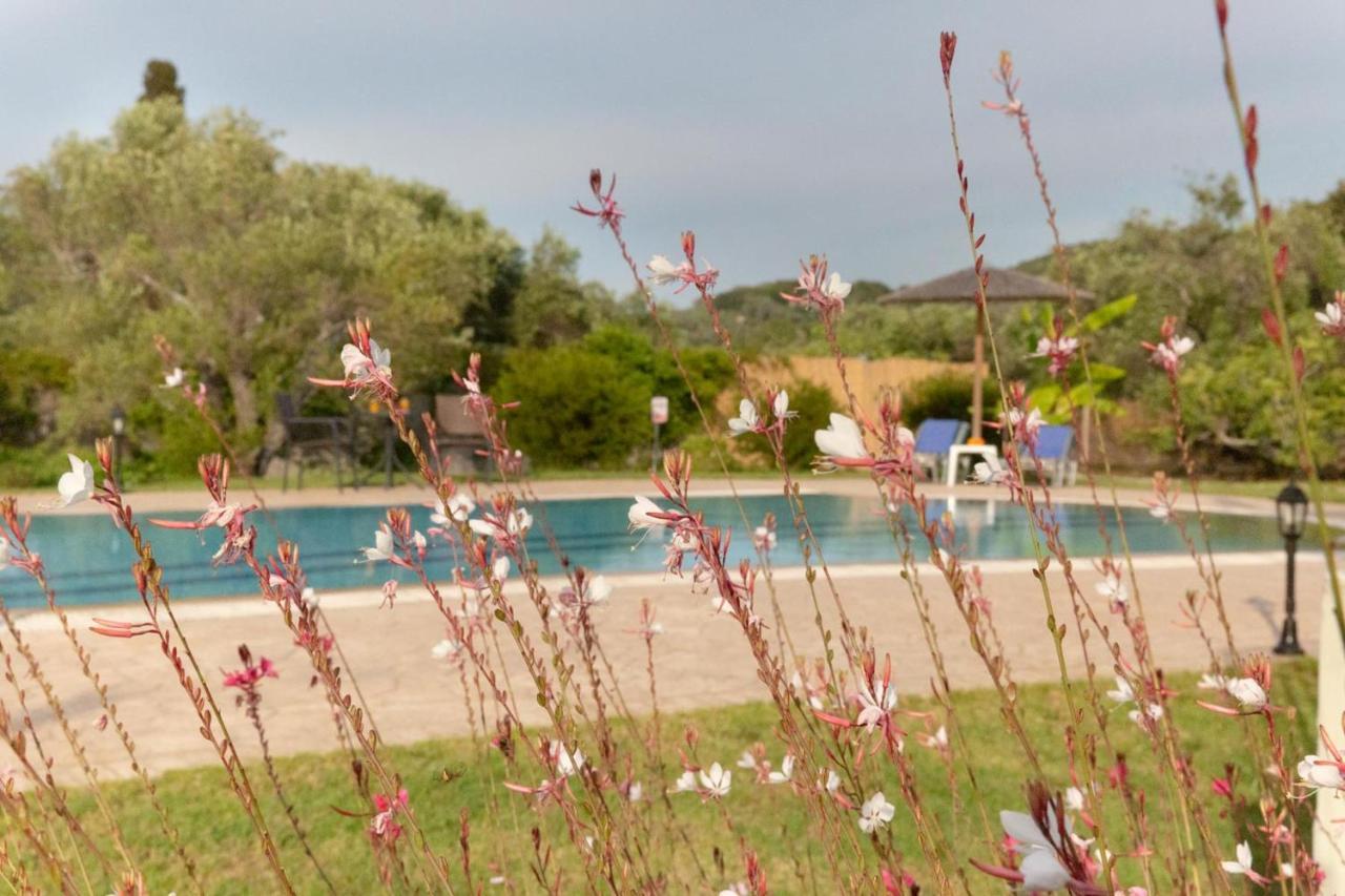 Villa Adonis Halikounas Exterior foto